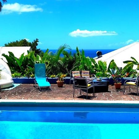 Blue Birds Location Vue Mer Des Caraibes Буйянт Екстериор снимка