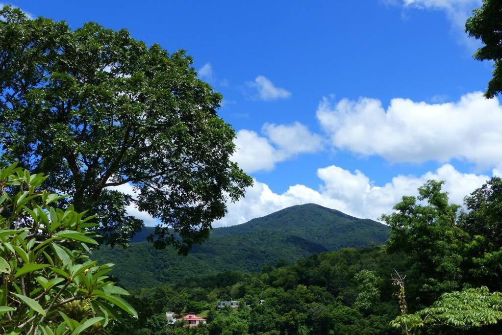 Blue Birds Location Vue Mer Des Caraibes Буйянт Екстериор снимка