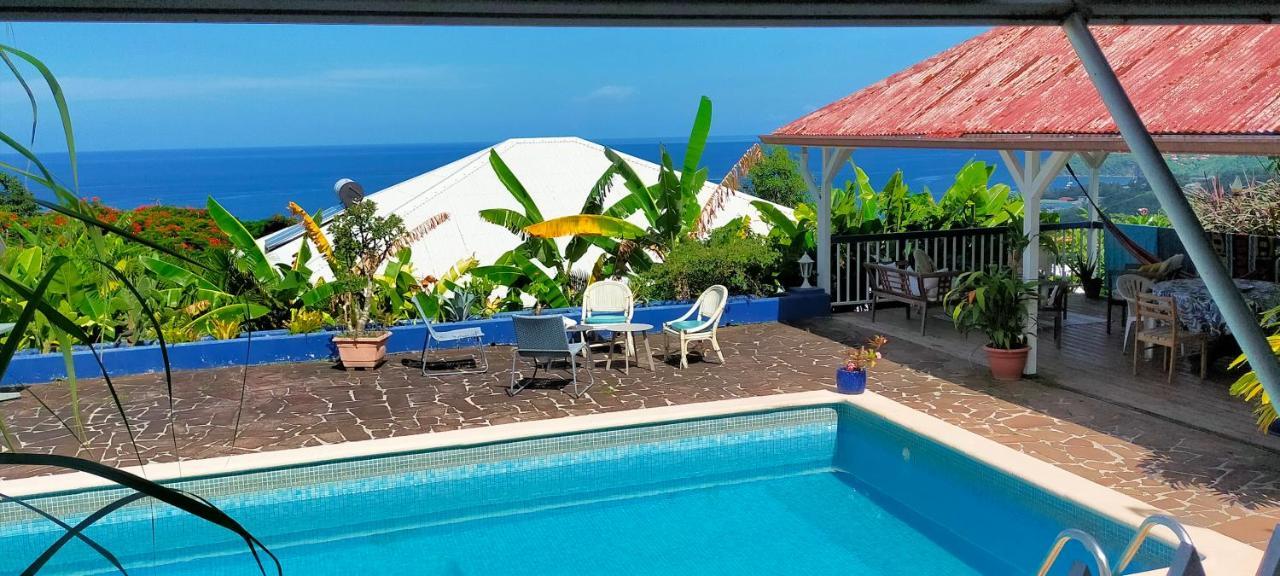 Blue Birds Location Vue Mer Des Caraibes Буйянт Екстериор снимка