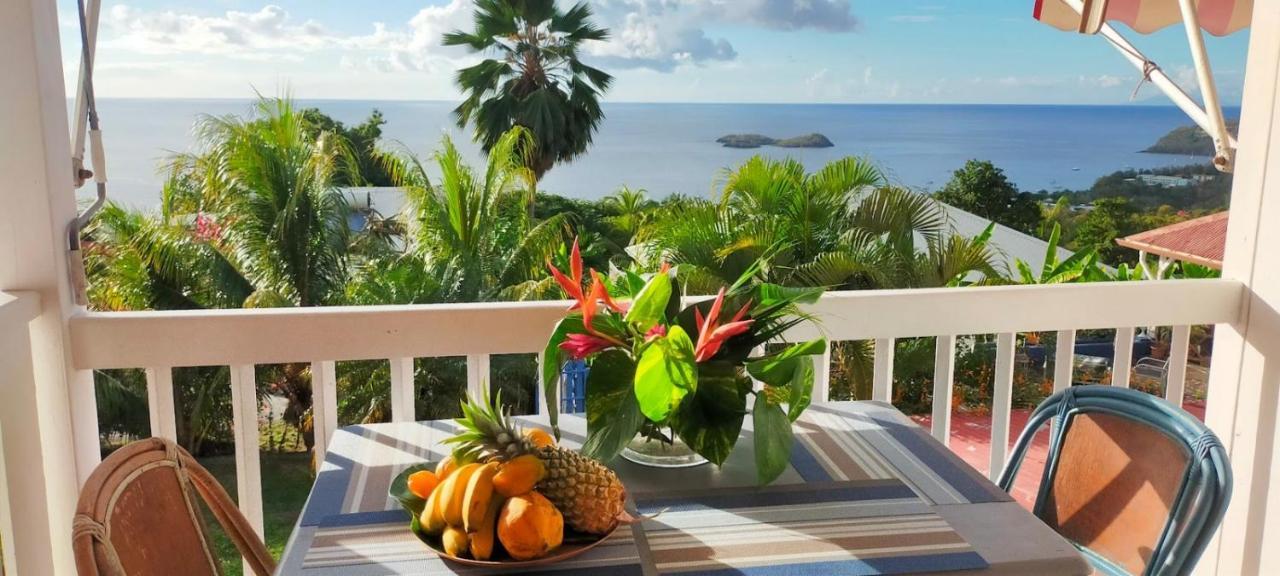 Blue Birds Location Vue Mer Des Caraibes Буйянт Екстериор снимка